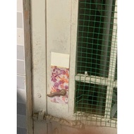 Lizard Glue 1 Piece Jelly Glue Lizard Catcher Glue Lizard Trap Glue Lizard Killer Glue Gecko Trap