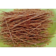 Spicy Grilled Corn Flavored Noodle/Spicy Stick Noodle/Grilled Corn Stick Noodle