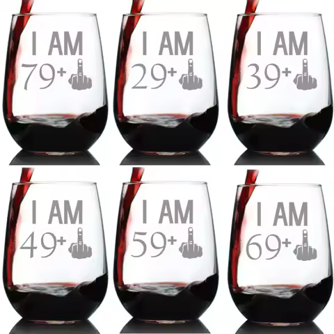 21st 30th 40th 50th 60th 70th 80th Birthday Wine Glass Etched Middle Finger Gift for Birthday Party 