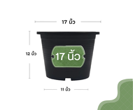 กระถางต้นไม้ 17 นิ้ว  กระถางต้นไม้พลาสติก กระถางแคตตัส กระถาง สีดำ สีขาว
