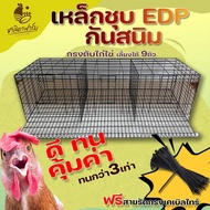 กรงตับไก่ไข่ เฉพาะกรง เหล็กชุบ EDP สีดำกันสนิม ใส่ไก่ได้9ตัว กรงไก่ กรงไก่ไข่ กรงตับ กงตับ chicken cage hen cage