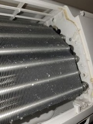 冷氣機清洗❄️【掛牆式分體冷氣｜明碼實價唔會突然間加價，室內機深層清洗】❄️，