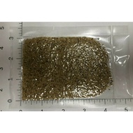 ♞Guaranteed germination rate Zenith zoysia Grass 5000 Seed Beginner Kit RLMJ