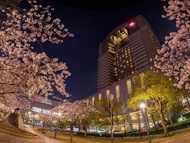 大阪帝國飯店Imperial Hotel Osaka
