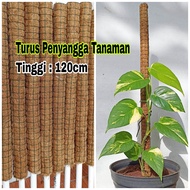 Turus Penyangga Tanaman Rambat/Ajir Rambatan Tanaman