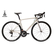 Raleigh Comp Road Bike