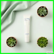 [Innisfree] Bija Cica Balm EX 40ml /by Info&selling