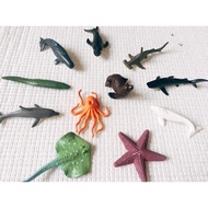 Safari Sea Creature Model Vivid Sea Creature Model Toys for Children