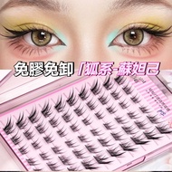 Fox Series🎀Glue-Free False Eyelashes Sudaji False Eyelashes Caramel Color Simulation Segmented Eyela