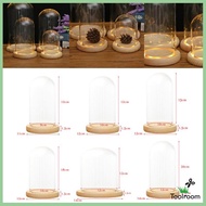 [ Decorative Clear Glass Cloche Bell Jar Display Case with LED Rustic /Tabletop Centerpiece Dome