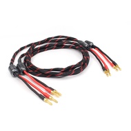 HI-End Electric Speaker Cable HIFI Audiophile Cable banana to Spade Biwire speaker cable HIFI，audio 