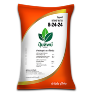 ปุ๋ยทิพย์ 8-24-24 +MgO+S+B  1 kg เร่งดอก สะสมอาหาร บำรุงผล