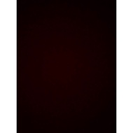 Storm Ion Pro Solid 14lbs