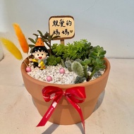 櫻桃小丸子 生日禮 母親送禮 多肉組盆 多肉植物 創意盆栽 客製化