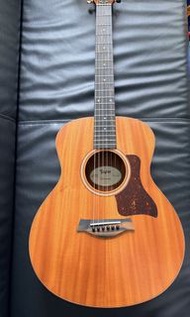 Taylor GS mini