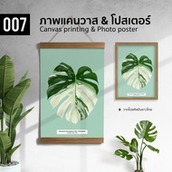 007 มอนสเตอร่าด่าง Monstera Albo ภาพพิมพ์ แคนวาส โปสเตอร์ โฟโต้ และสติ๊กเกอร์ PVC ขนาด 50x70 40x50 30x40 ซม