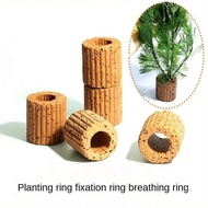 10pcs Fish Tank Water Plants Fix Ring Pottery Water Plants Cultivation Fixed Ring For Aquarium