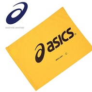 Asics Performance Shoe/Laundry Case