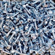 HO-516 Screw Besi channel 10# X 5/8" - Screw Roofing Screw Channel Screw Batten Skru Besi Bumbung