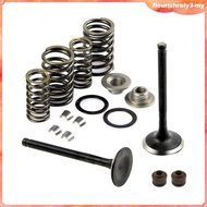 [Flourish] Motorcycle Complete Valve Assembly Kit for 125cc 150cc GY6 4-Stroke Motor