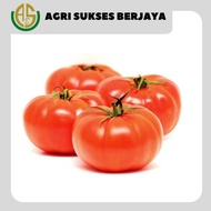 Tomat Beef/Buah Tomat Apel Segar 1kg