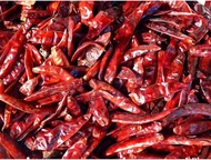 CABE KERING SUPER PEDAS /CABE KERING TANPA TANGKAI/CABE KERING MURAH KUALITAS BAGUS