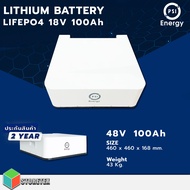 PSI Energy LITHIUM BATTERY Solar Storage LiFePo4 48V 100Ah