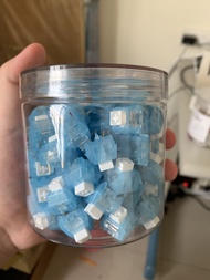 極地狐軸（100顆）