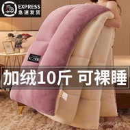 5kg Lamb Fleece Core Quilt Plus Winter Fleece New Style Quilt 2025 Double-Sided Warm Winter Single F