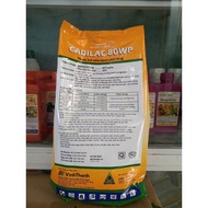 CADILAC 80WP Vàng Trừ bệnh sương mai dưa Hấu Mốc sương khoai tây đốm lá mai đốm lá lan