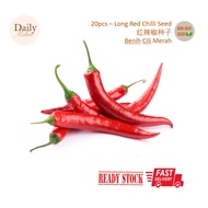 20pcs Long Red Chilli Seed/红辣椒种子/Benih Cili Merah [SG Vegetable Seed]