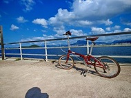 大行 (DAHON) D10 摺疊單車