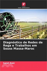 Diagnóstico de Redes de Rega e Trabalhos em Souss Massa-Maroc