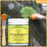 [BlesiyaedMY] Bonsai Pruning Paste, Tree Wound Sealant, Water-Resistant Pruning Sealant with Brush f
