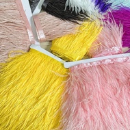 Ostrich Feather Trim Ribbon 1M | Luxury Fringe for Quinceañera Dress, Cabaret Costume & Pageant Sash