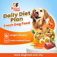 DF Daily Diet Meal for Dog (Made in MY) Fresh Dog Food Healthy Pet Food (10x Packs)