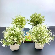 Courtyard Bedroom Office Living Room Coffee Table Simulation Green Plant Small Potted Plant Bonsai S