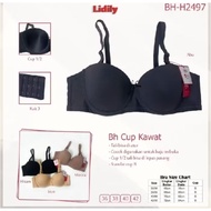 LIDILY H2497 Bra with Foam Underwire | Size 36D-42D | LIDILY Bra - CupBIG