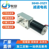 Micro DC Motor 5840-31ZY Large Torque Planet Gear Micro Motor 12V 24V Customization