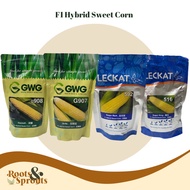 LECKAT/GWG F1 Hybrid Sweet Corn Seeds (907 908 516 592) Arifa/Hannah/Sugar King/Sugar Rich 甜玉米种子 Jag