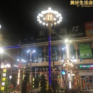 8米LED路燈中華燈九頭燈罩廣場工程景觀道路社區戶外城市照明定製