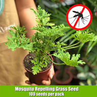 100% Original Mosquito Repelling Grass Seed (100 Pcs Seeds for Planting) Citronella Mosquito Killer 