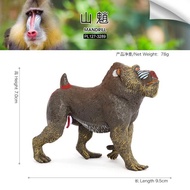 Educational Childrens Toy Realistic Wildlife Model Large Baboon Monkey Cognitive Learning Gift Small
