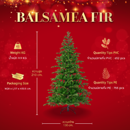 ต้นคริสต์มาส Balsamea Fir - Christmas Tree | H 210/240 cm.