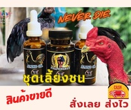 ชุดเลี้ยงชนสำหรับไก่ชนเนเวอร์ดายน์NEVER DIE