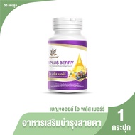 (ของแท้ 100%) Benja Oil I Plus Berry เบญจออยล์ อาหารเสริมบำรุงดวงตา สุขภาพดวงตา ขนาด 30 แคปซูล 1 กระ