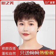 Wig Female Short Curly Hair Light Breathable Middle-aged Elderly Mom Style Whole Hair Set Domestic R