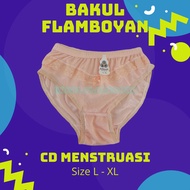 LACE UNDERWEAR - SPECIAL MENSTRUAL UNDERWEAR/MEN'S CD Lace Panties