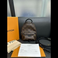 LV palm springs mini backpack