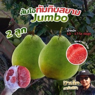 Jumbo 2 ลูก ( น้ำหนักต่อลูก 1.5-1.7 kg ) ส้มโอทับทิมสยาม